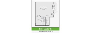 The Hamilton