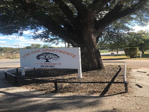 A sign for We Oaks Apartment is in front of a large tree.