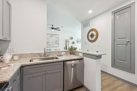 A kitchen with a stainless steel dishwasher and a marble countertop.