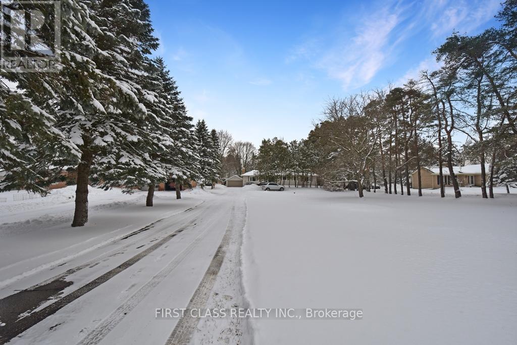 A snowy road with trees on both sides and a house in the distance.