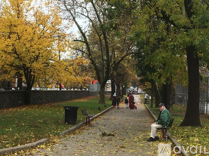 A man sits on a bench in a park with yellow trees.