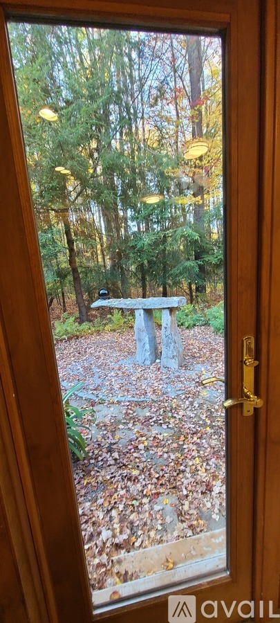 A view of a forest through a window.