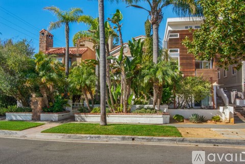 A street view with palm trees and modern houses.