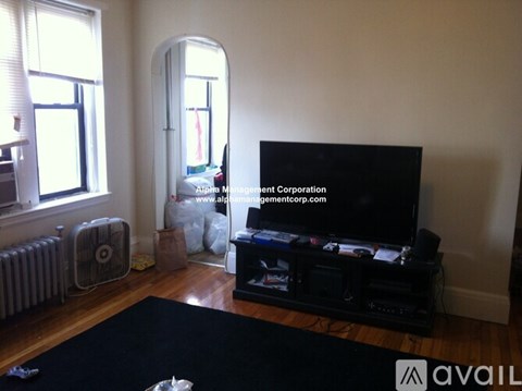 A living room with a television, a fan, and a rug.