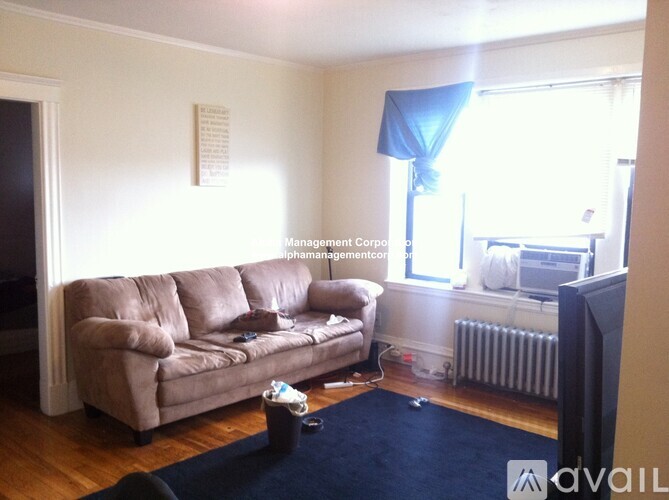 A living room with a brown couch and a blue rug.