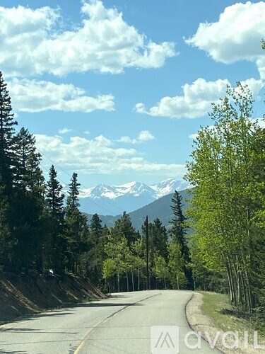 A road with trees and mountains in the background.