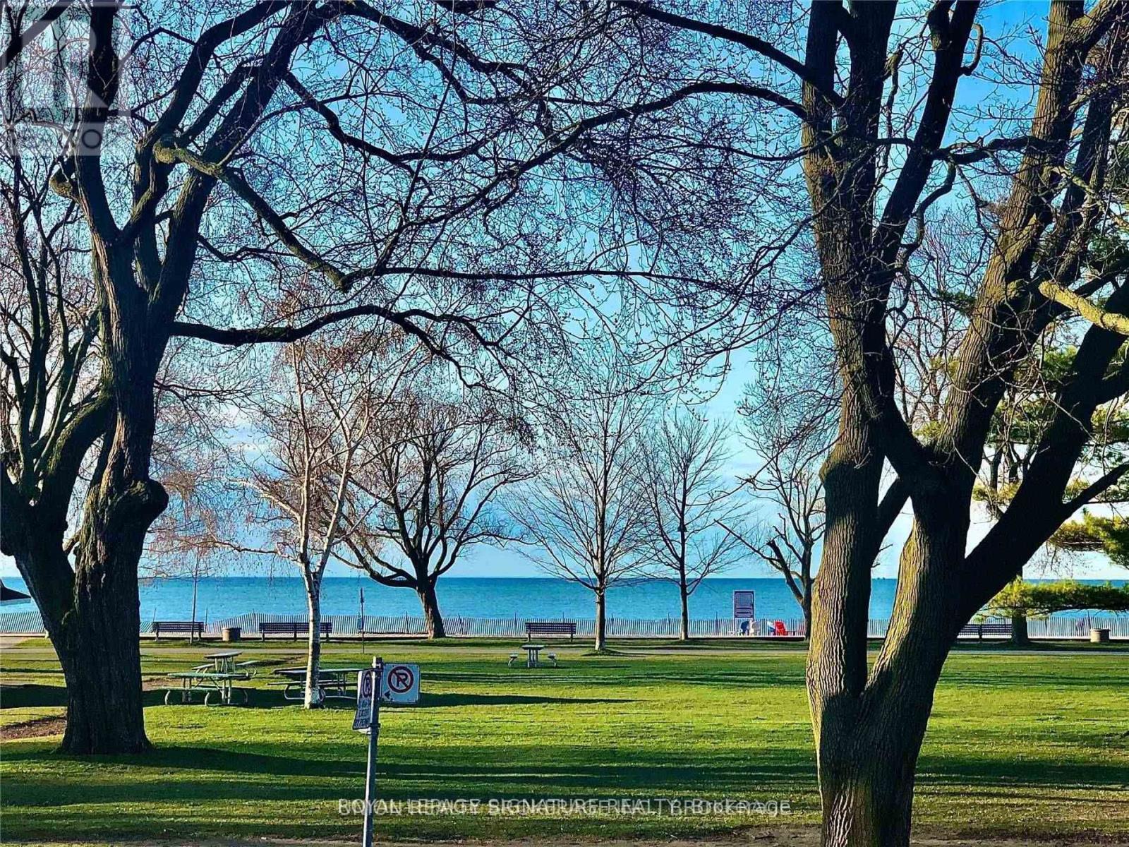 A park with trees and a lake in the background.