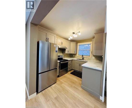 A kitchen with a refrigerator, sink, and cabinets.
