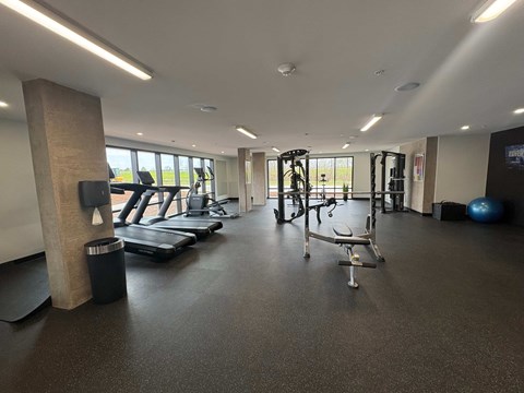 A gym with treadmills, weights, and exercise equipment.