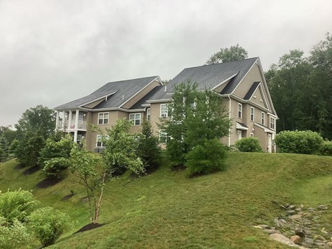 A house with a grey roof and white trim is surrounded by greenery.