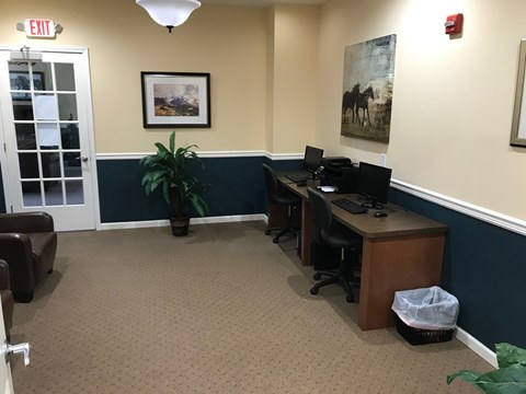 A room with a desk, chairs, and a plant.