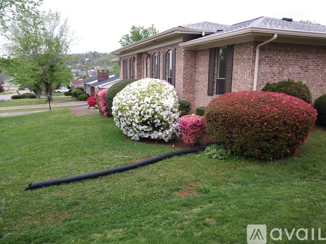 A garden with a long black pipe in the foreground and a house in the background.