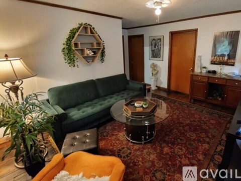A living room with a green couch and a rug.