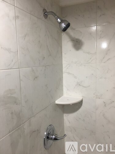 A white shower head is mounted on a wall.