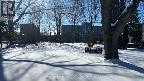 A snowy park with benches and trees.