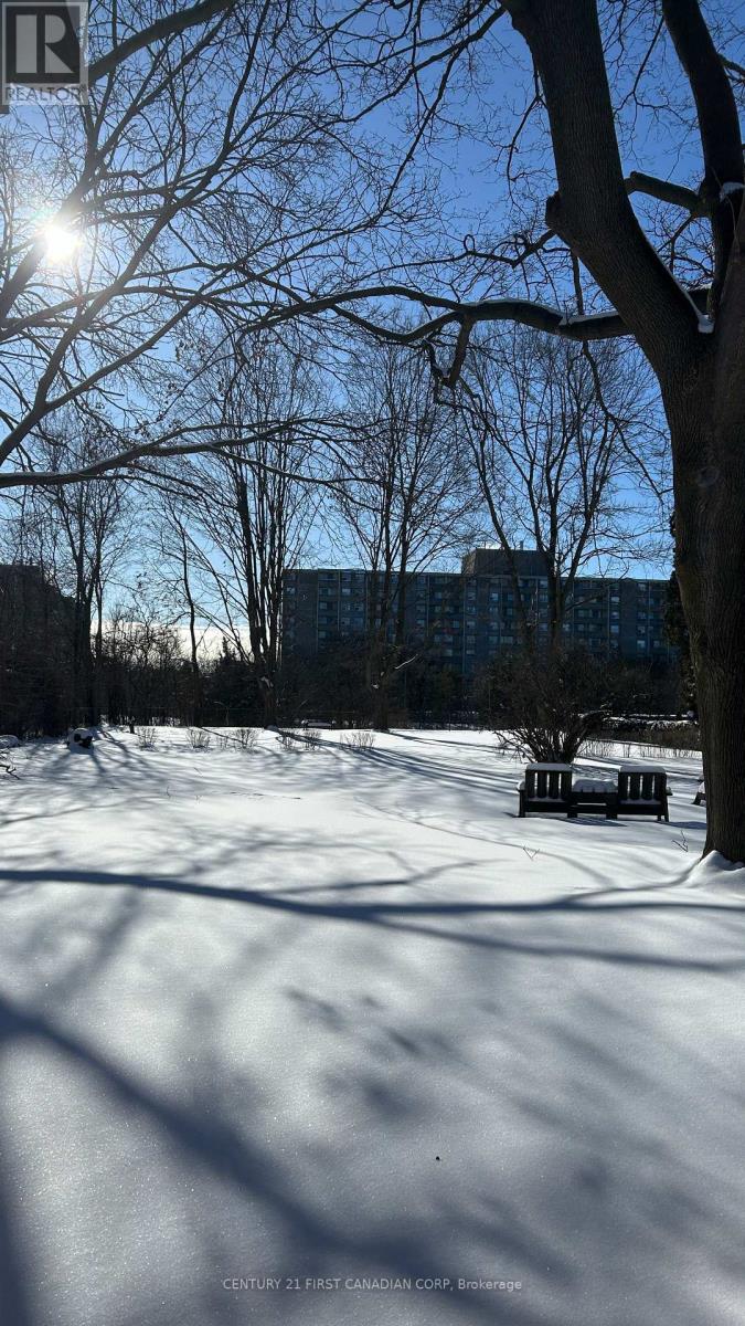 A bench sits in the snow under a tree.
