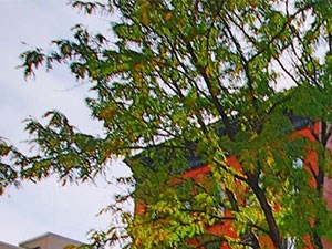 34 East 7th Street 1-2 Beds Apartment for Rent - Photo Gallery 3