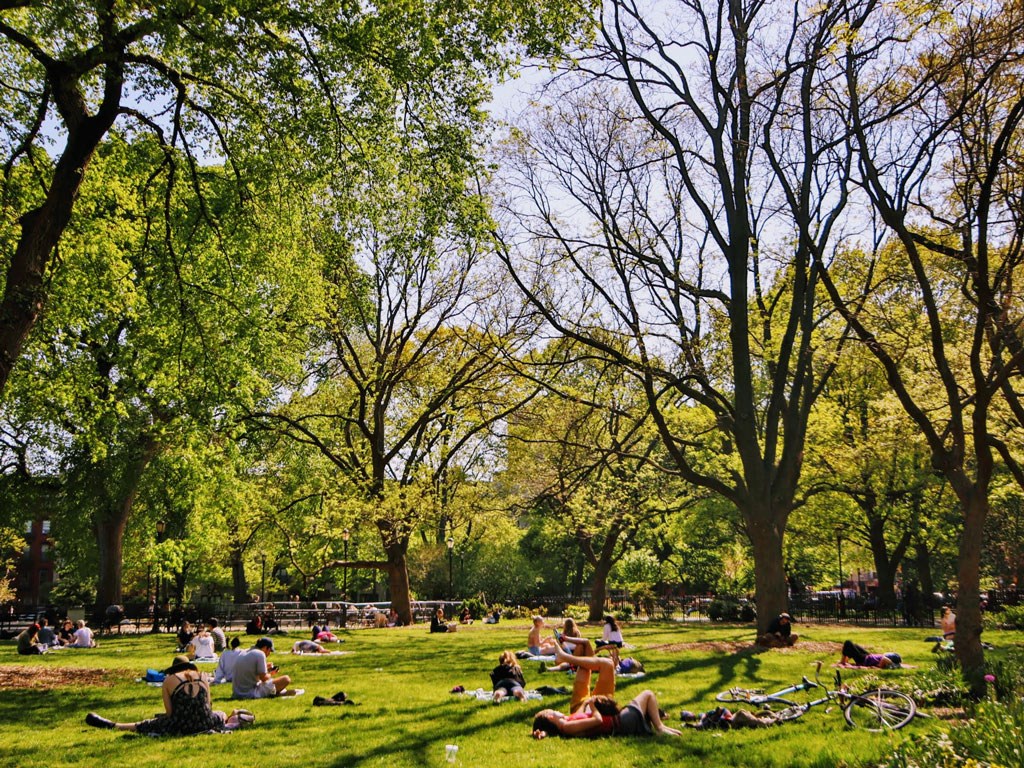 people sitting in the grass in a park