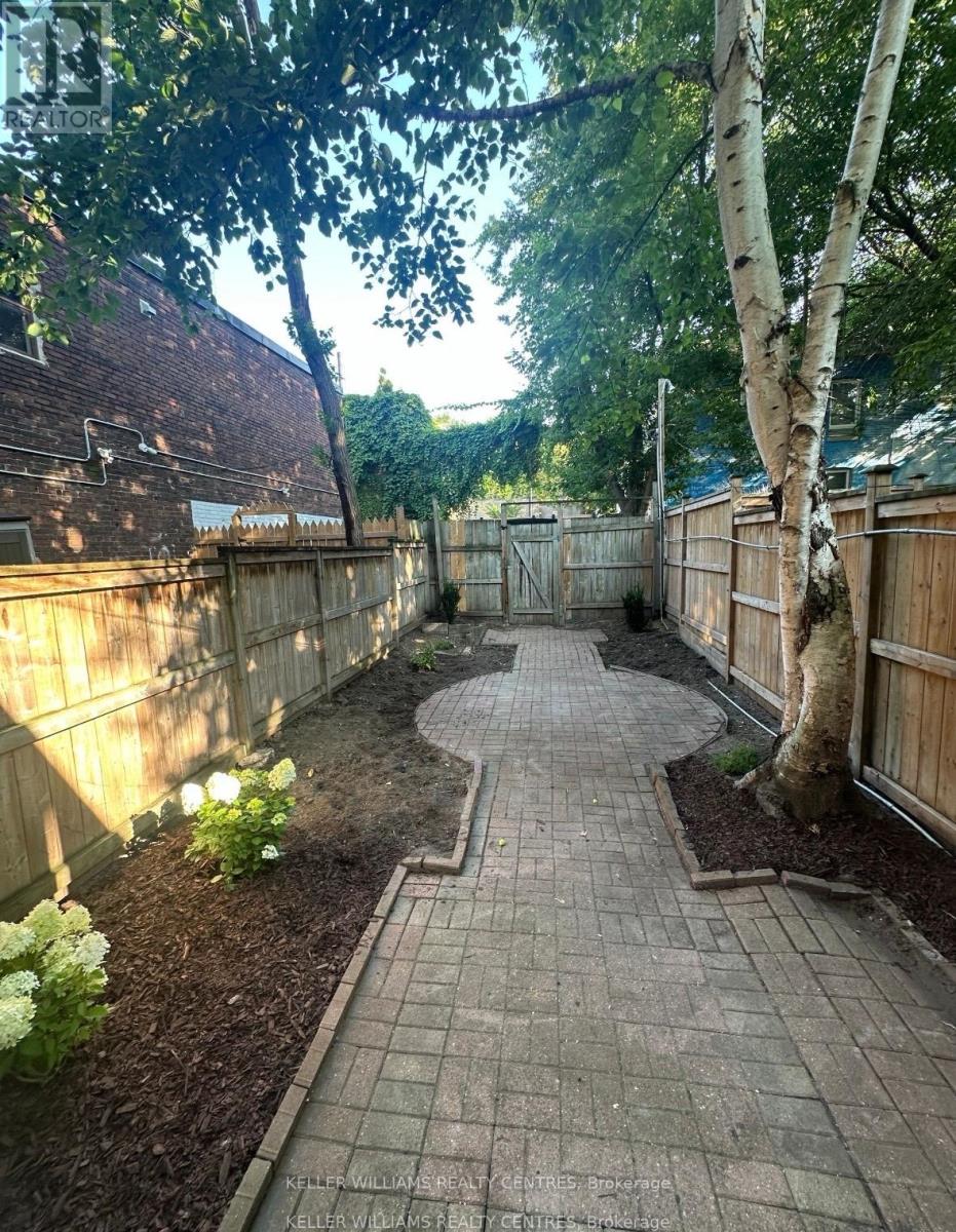 A backyard with a brick pathway and a white birch tree.