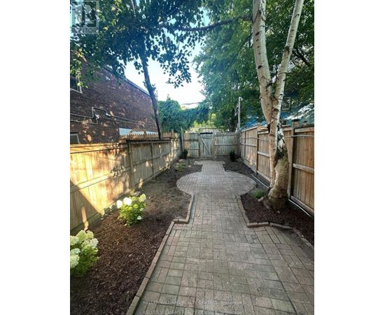A backyard with a brick pathway and a white birch tree.