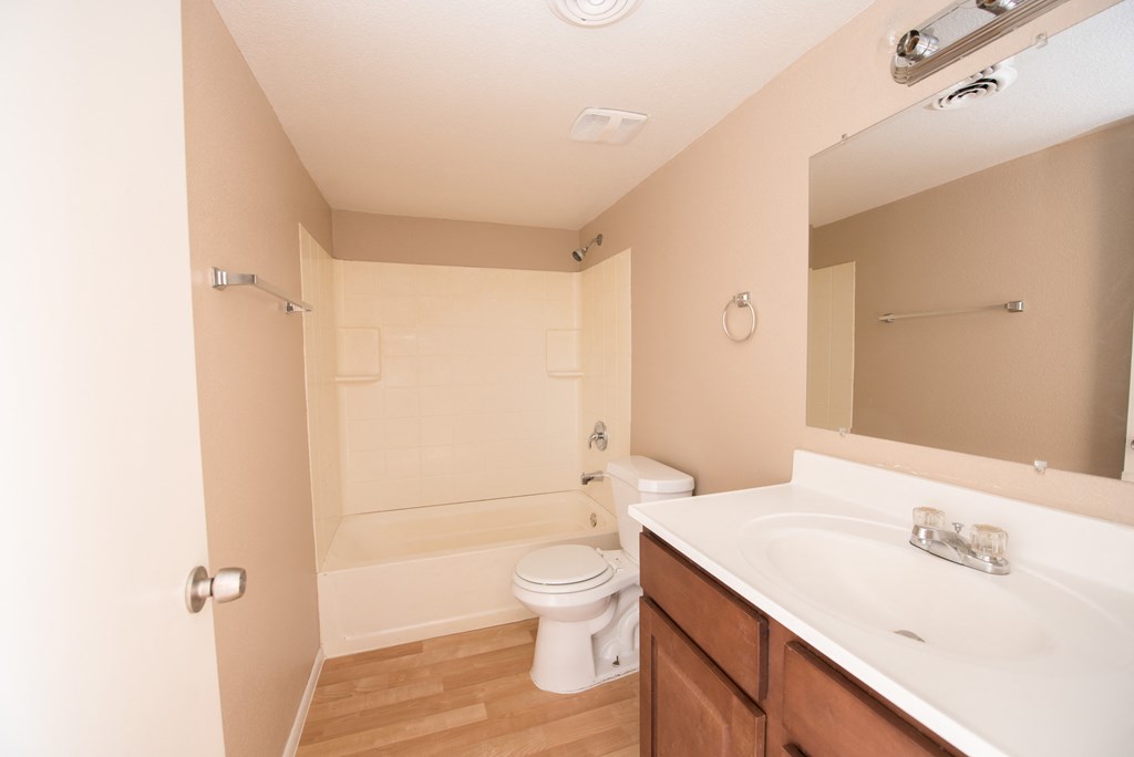 a bathroom with a sink and a toilet and a shower