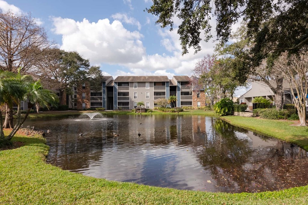 a pond with a fountain in front of some apartments