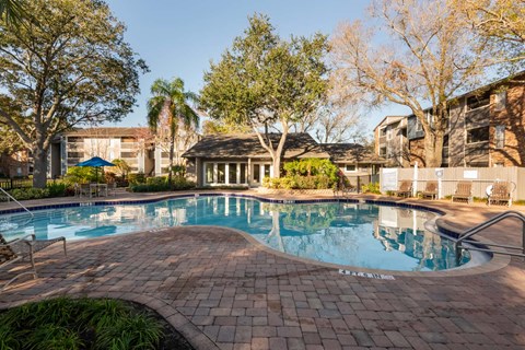 the swimming pool at the apartments for rent