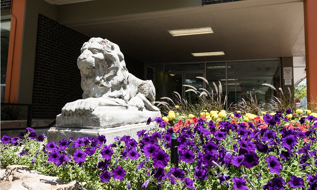 a statue of a lion in a garden of flowers