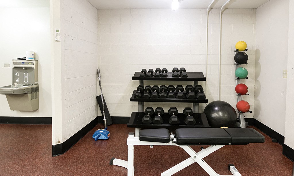 the gym has plenty of weights and a punching bag