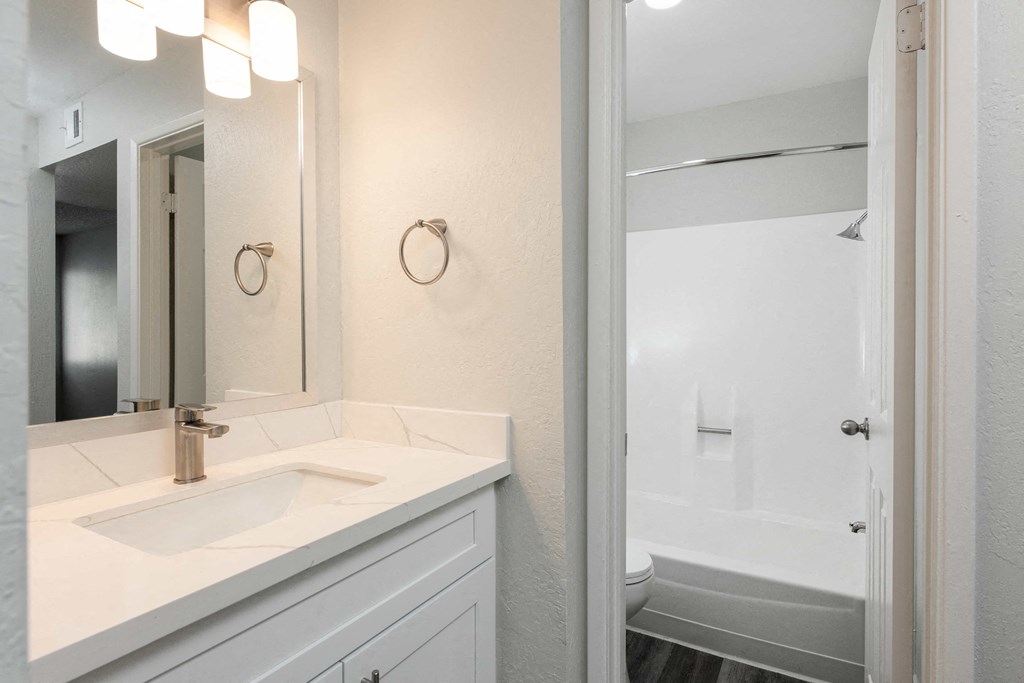 a bathroom with a sink and a shower and a mirror
