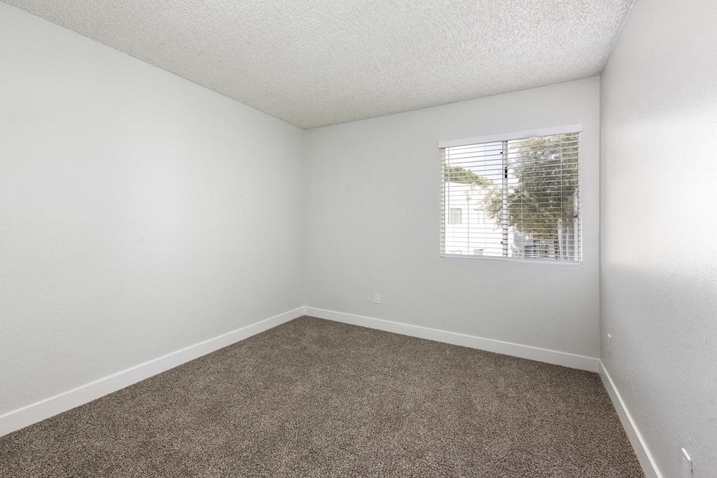 an empty room with carpet and a window
