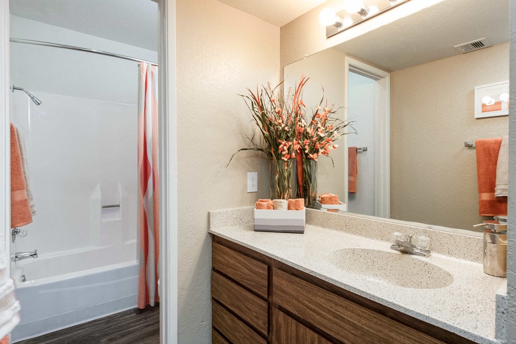 a bathroom with a shower and a sink and a mirror
