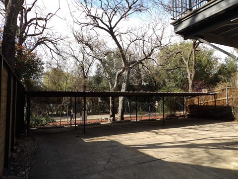 A backyard with a fence and trees.
