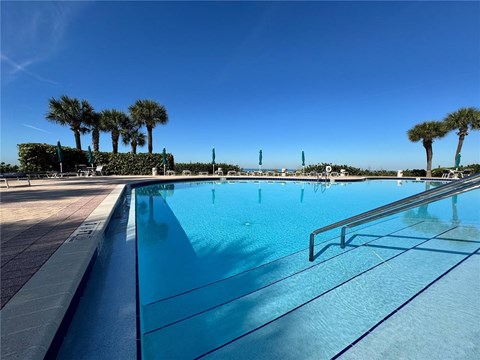 A swimming pool with a clear blue sky and palm trees in the background.