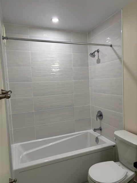 A white toilet sits next to a bathtub in a bathroom.