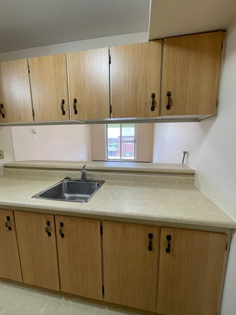 A kitchen with a sink and wooden cabinets.