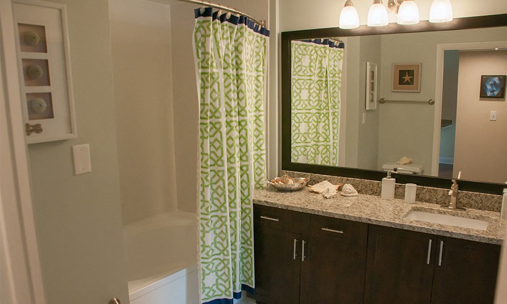 a bathroom with a sink and a mirror and a shower