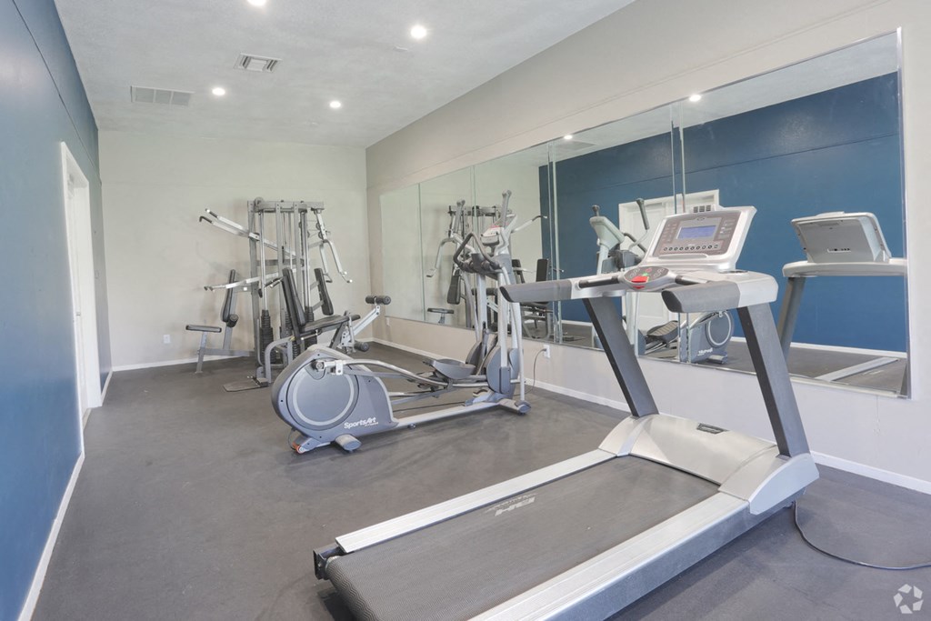 a gym with treadmills and other exercise equipment