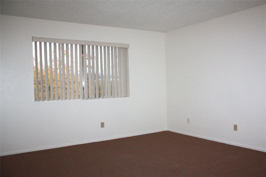 an empty room with a window and a brown carpet