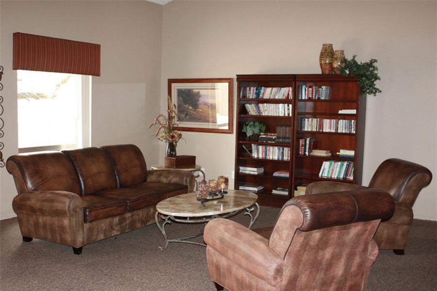 a living room with leather furniture and a book shelf