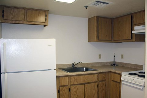 a kitchen with a white refrigerator and a sink