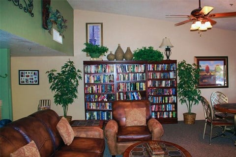 a living room with leather furniture and a book shelf
