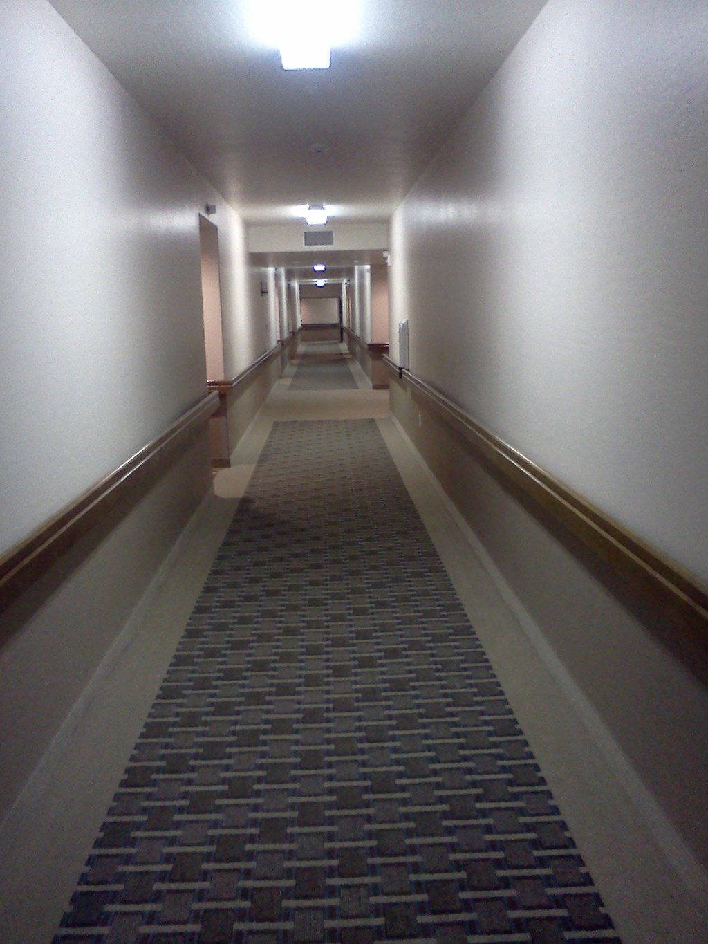 a long hallway with a blue carpet and white walls