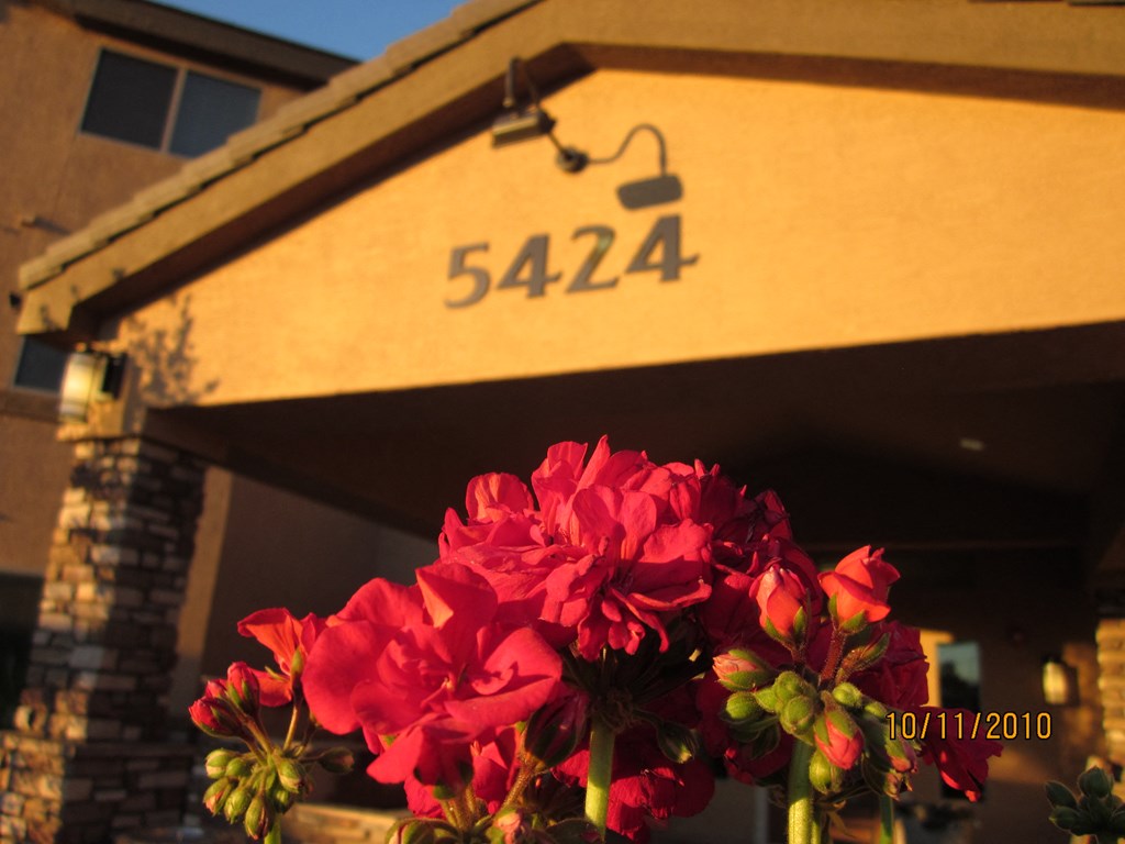 a bunch of red flowers in front of a building