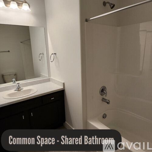 A bathroom with a sink, mirror, and shower.