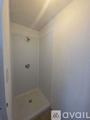 A small white bathroom with a walk in shower.