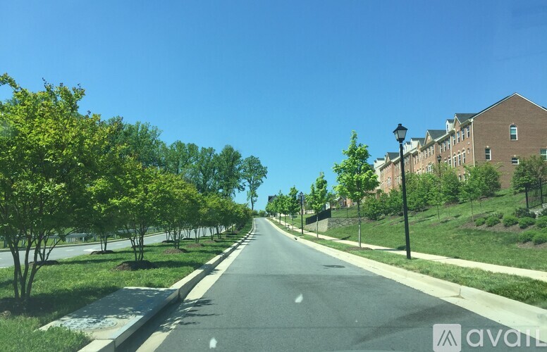 A tree-lined street with a sidewalk and a building in the background.