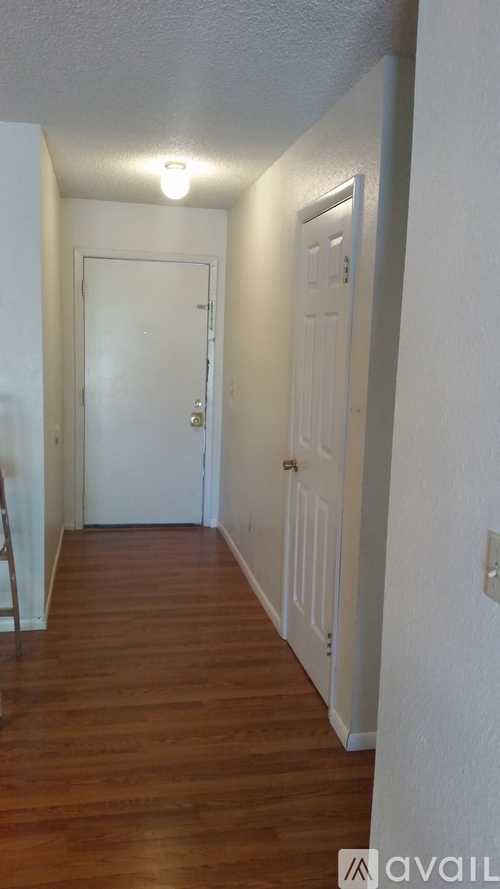 A hallway with a white door and a light on the ceiling.