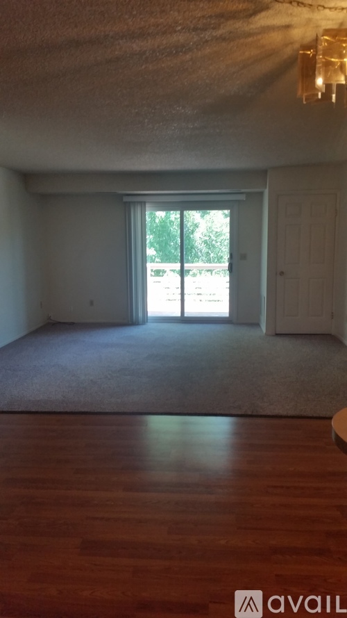 A room with a carpet and wooden floor.