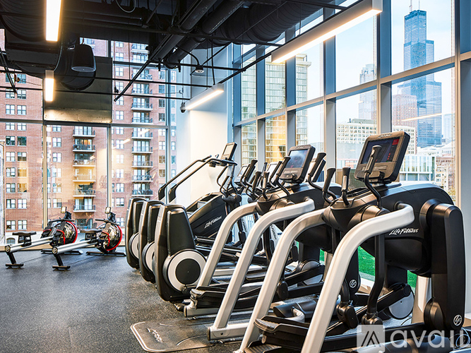 A gym with treadmills and elliptical machines.